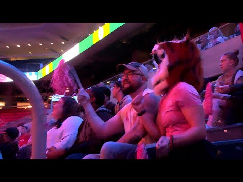 GAME HIGHLIGHTS: Auburn Volleyball defeats Arkansas 3-1