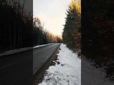 Ferrari V12 in the woods