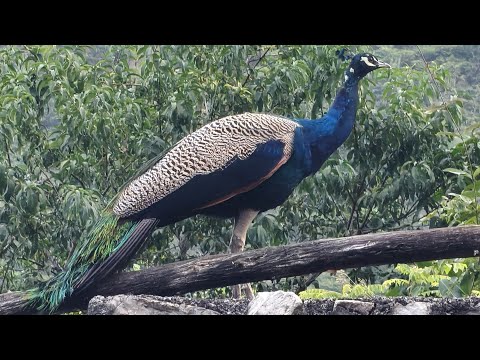 Welcome in my 362nd support Live Strem || Connect 🔄 India🇮🇳 Connect 🔄 Globally 🌍