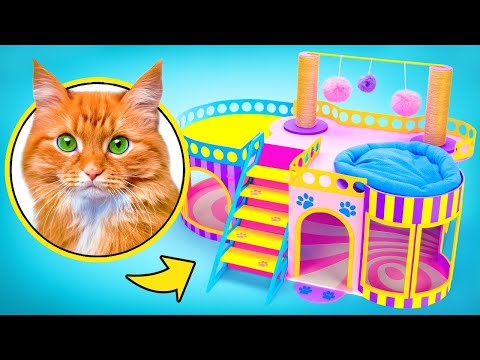 How to Make Purrfect Cat House 🐈🐾🏡