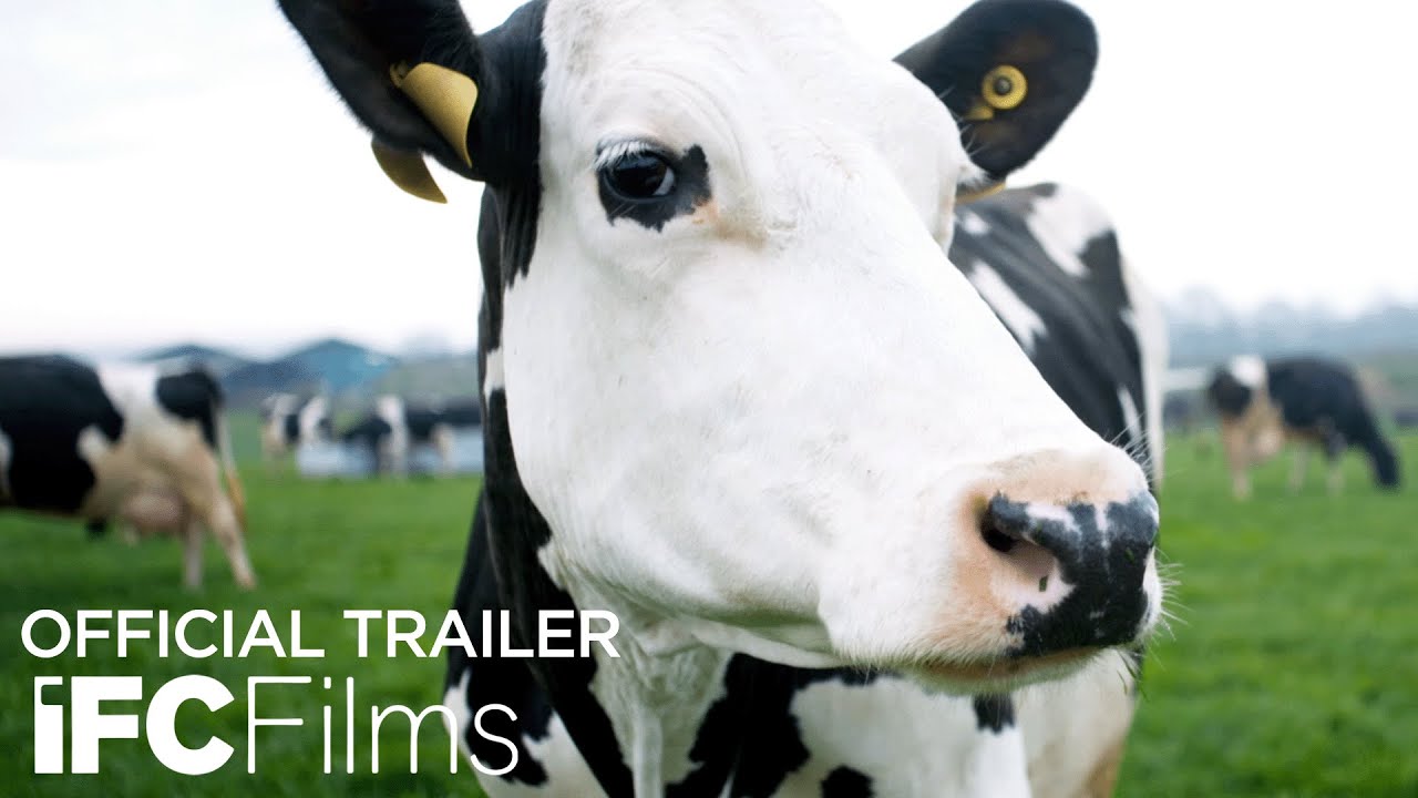 Cow Trailer thumbnail