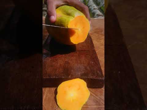 fresh Papaya fruits 😊👍