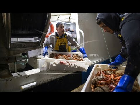 Γαλλία: Απαγόρευση της αλιείας για ένα μήνα στον Βισκαϊκό Κόλπο