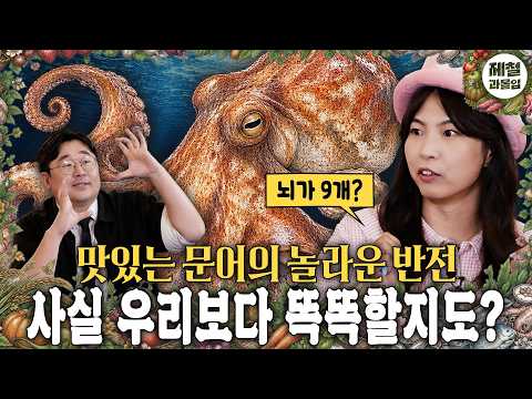 / 권주현 곽재식 <strong>김진영</strong> 안주현 [제철과몰입 Ep.02 두족류 2부]