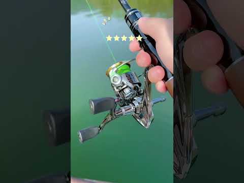 Stand Out: A Fishing Reel Similar to Stella but More Stunning! ๐๐ฃ