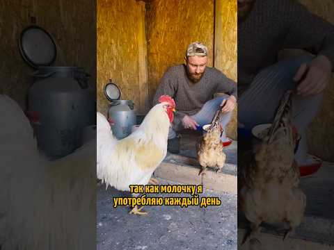 БРОСАЙ ПИТЬ 🫵/  сухое голодание/закаливание холодной водой/спорт/алкогольная зависимость