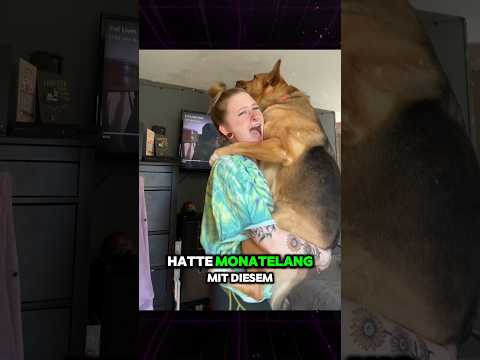 Diese Frau hat jeden Tag mit dem Hund im Bett geschlafen!