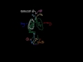 Pathologies et Fonctions Pulmonaires