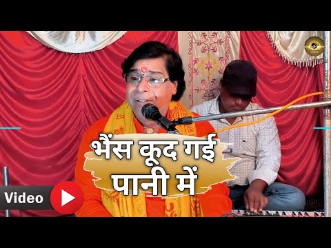 भैंस कूद गई पानी में |Bhais kood gayi pani me |Sanjay Pandey ji #song #bhains_kood_gayi_pani_me #yt 