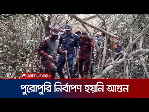 ‘সুন্দরবনের আগুন পুরোপুরি নির্বাপণ হতে আরও ২-৩ দিন লাগবে' | Sundarban Fire | Jamuna TV