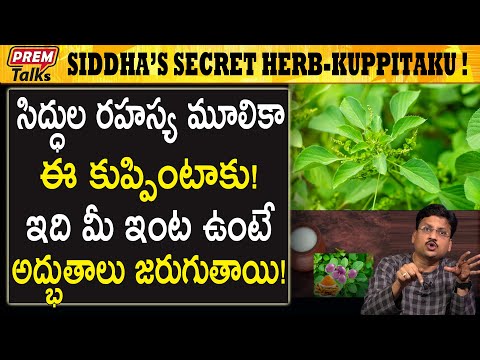 మన సిద్ధులు కనిపెట్టిన గొప్ప ఔషధం ఇది! These herbs are too powerful for you! | #premtalks