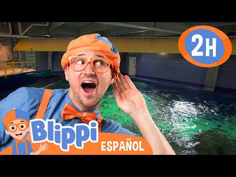 ¡Hora de tortugas y pingüinos con Blippi! | Blippi | Moonbug Kids - Parque en Vivo!