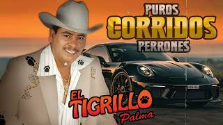 Puros Corridos Mix 2025 - El Tigrillo Palma - Mix 20 Exitos De El Tigrillo Palma
