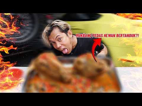 VIRAL! MUKBANG HEWAN MAMALIA MANDI CABE!