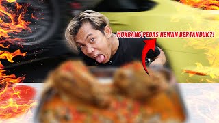 VIRAL! MUKBANG HEWAN MAMALIA MANDI CABE!