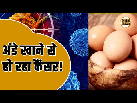 अंडे खाने से हो रहा कैंसर, जानिए क्यों? || KBC News