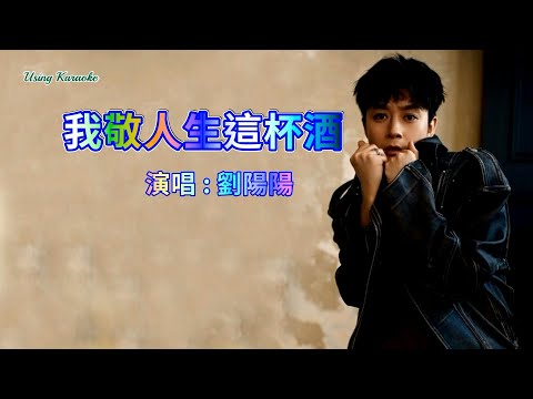 我敬人生這杯酒-劉陽陽-伴奏 KARAOKE