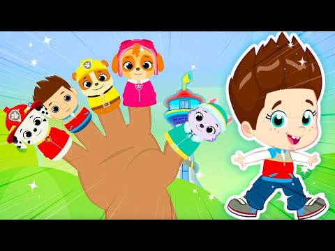 Groovy y la Patrulla Canina 🐶 | Aventuras con Dinosaurios, Princesas y Dientes Limpios!