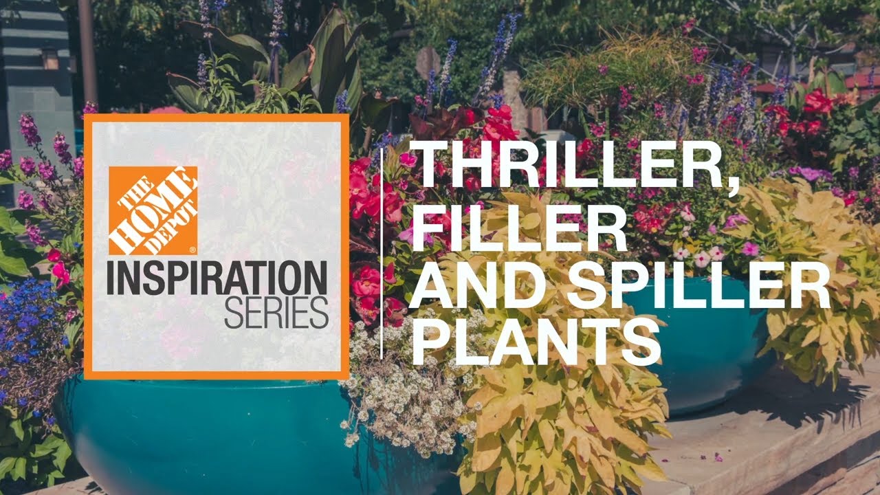  Thriller, Filler and Spiller Plants for Your Container Garden