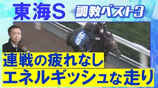 【３週連続調教診断上位馬が激走！】ビダーヤ、ヤマニンウルス、サンライズフレイム・・・競馬エイト・高橋賢司トラックマンの調教解説＜東海ステークス(ＧⅢ)＞