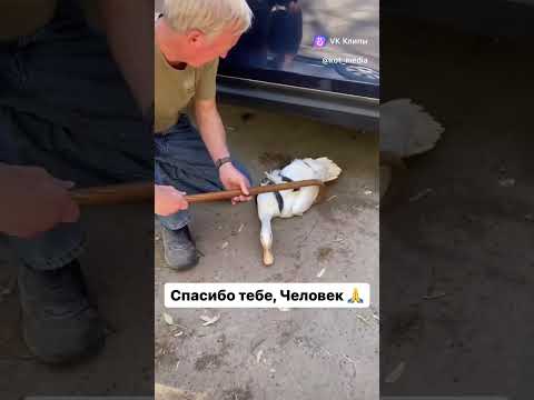 спасибо тебе добрый человек