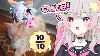 Anny Reviews Chat’s Anny Plushies