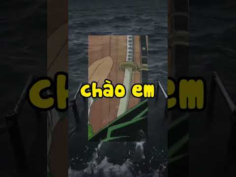 One Piece Nami giới thiệu về Băng Mũ Rơm Meme hài hước Đảo Hải Tặc #onepiece #shorts