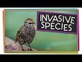 Understanding Invasive Species