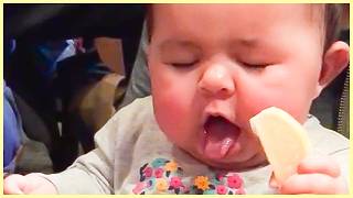 BEST Baby Video For Baby To Watch || 5-Minute Fails