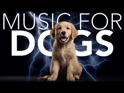 Thunderstorm Anxiety Relief for Dogs 🌩 | Calming Music for Dogs During Storms | Reduce Stress & Fear