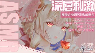 ASMR｜99.9% 脳とろける睡眠トリガー｜99.9% Brain-Melting Triggers for Tingles & Slee