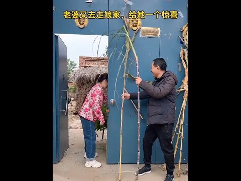 Give a surprise to my wife.