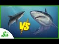 Trophic Levels and Ancient DNA