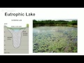 Freshwater Ecosystems and Characteristics