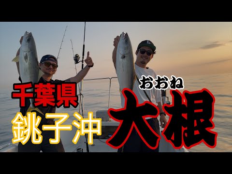 銚子沖でブリの幼魚イナダが豊漁！ジギングで狙う釣りが面白い！