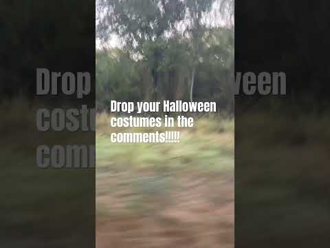 I wanna know! #fypシ゚viral #halloween #cute