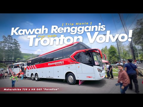 "BIS AKAP BERANI BEDA" ‼️ SEWA 2 UNIT BUS MAHARDHIKA VOLVO | TRIP KAWAH RENGGANIS 2024