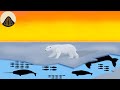 Polar Bears: Evolution and Adaptations
