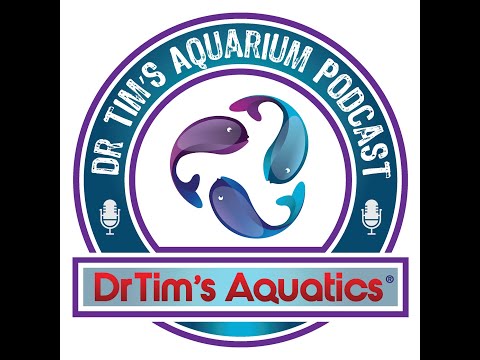 Feb Q & A Do you have a question for DrTim? Send us an email- info@drtimsaquatics.com 

Timestamps_
00_00 - st
