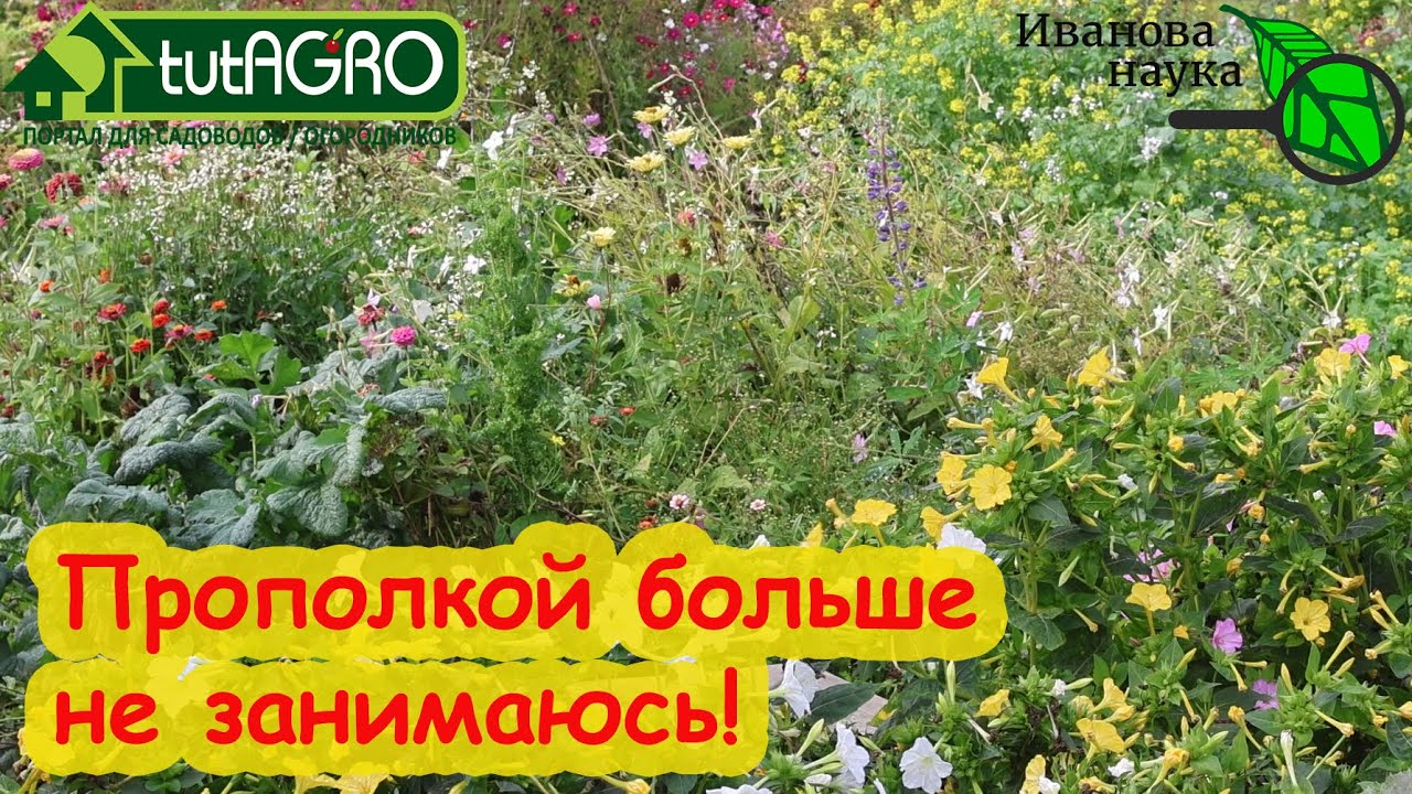 Перестал полоть огород и избавился от сорняков! 2 надежных способа жить без сорняков и без прополки.