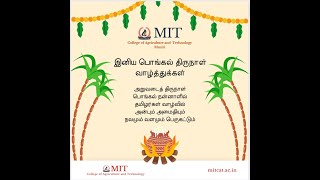 அறுவடைத் திருநாள் பொங்கல் வாழ்த்துகள் Happy Pongal | #MITCAT