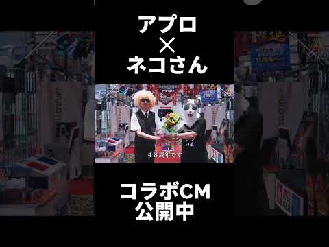 Youtube再生数6億回のネコとコラボCM、第2弾。