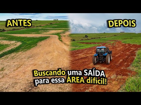 COLOQUEI TERRA VERMELHA NA ÁREA DE TERRA BRANCA