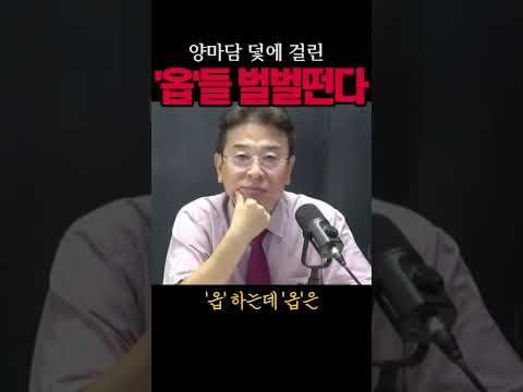 민주당 '옵'들 벌벌떤다#김승원#시사브리핑
