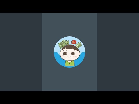 ゲーム配信相談会となった雑談枠【ビバアクア】#アクアリウム #熱帯魚