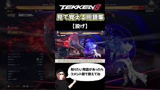 【鉄拳8】見て覚える用語集【投げ】