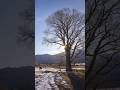 Exploring Colorado's Landscapes