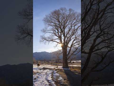 Paid Content for @toyotausa. The San Luis Valley is perfect for capturing pristine wilderness.