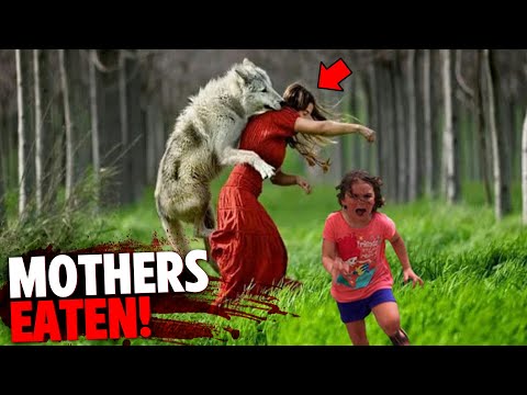 1 Hour of Mothers EATEN ALIVE By Deadly Predators In Front of Their Family!