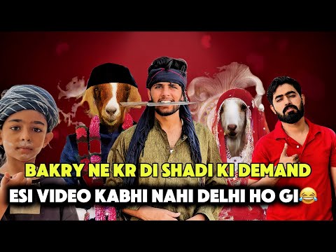 Bakry Ne Shadi Ki Demand Kr Di | Qurbani Se Pehly Shadi 😂 Funny Video